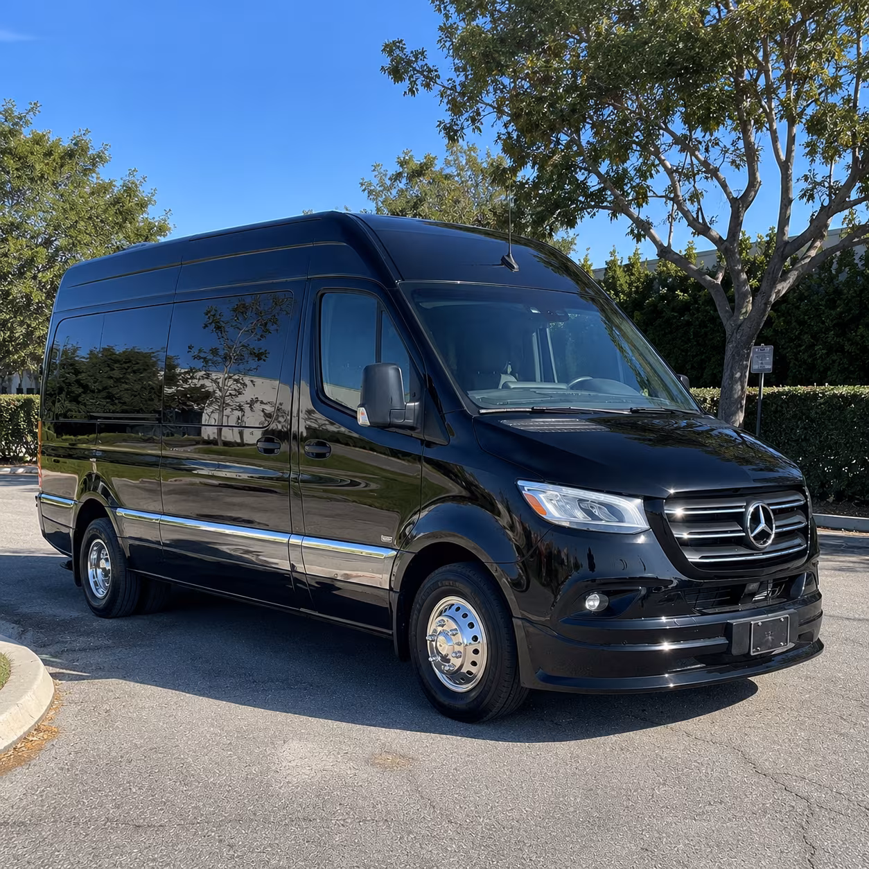 15 passenger sprinter van